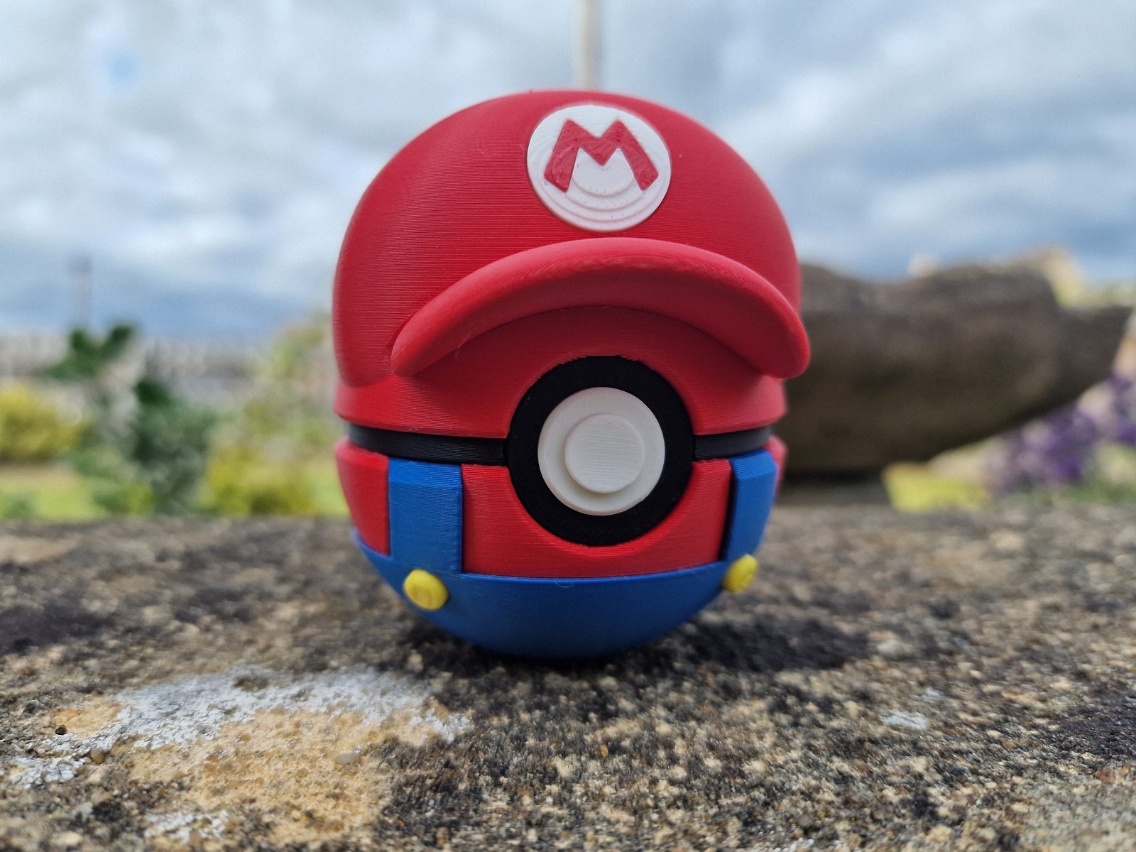 Mario Pokeball — vue 1