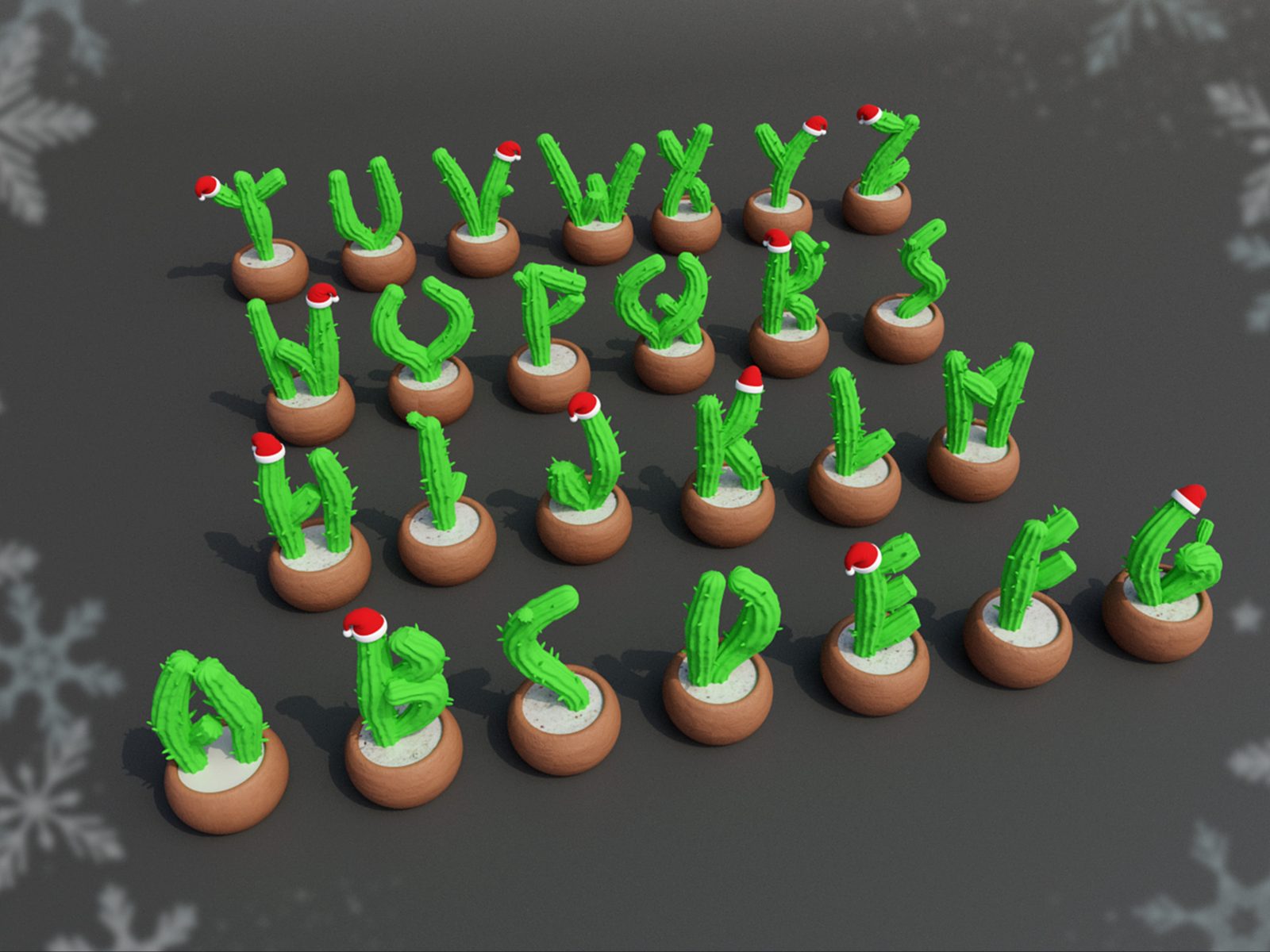 Mini Cactus Alphabet — vue 1