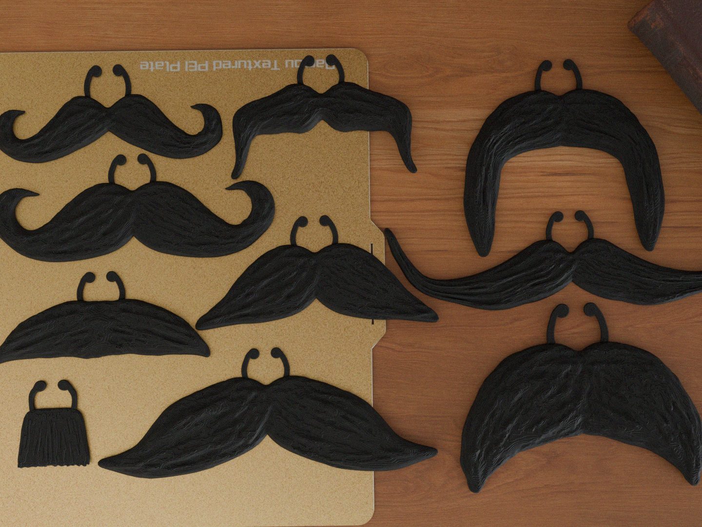 Moustaches — vue 1