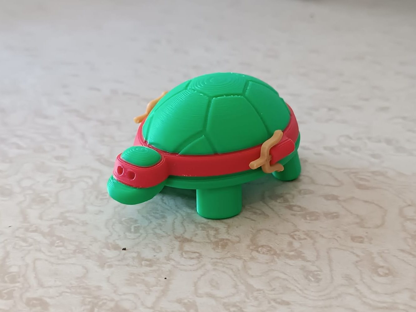 Ninja Turtle — vue 1