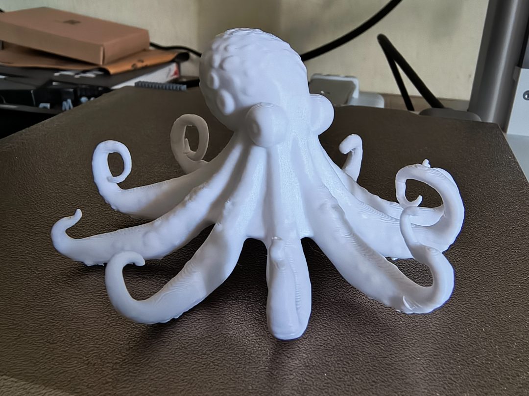 Octopus — vue 1