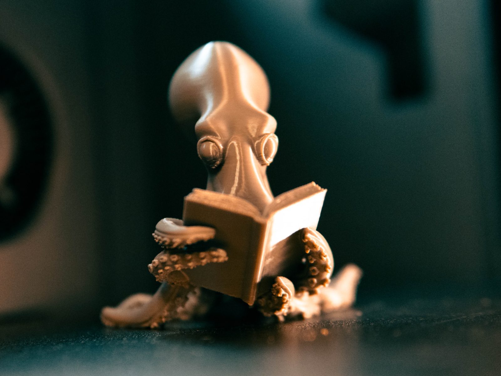 Octopus Reading a Book 3D Model — vue 1