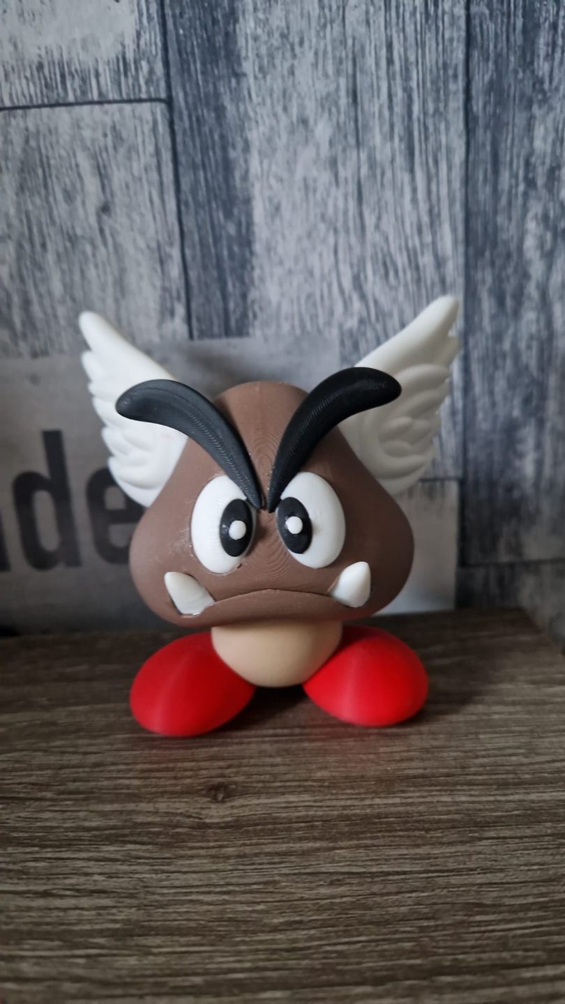 ParaGoomba ( Super Mario) — vue 1