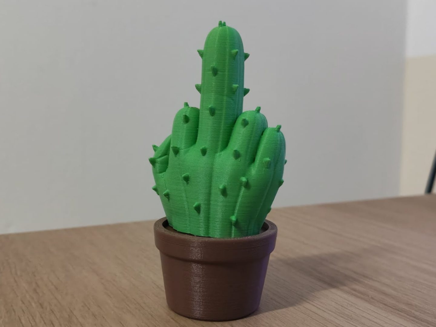 Plant middlefinger cactus — vue 1
