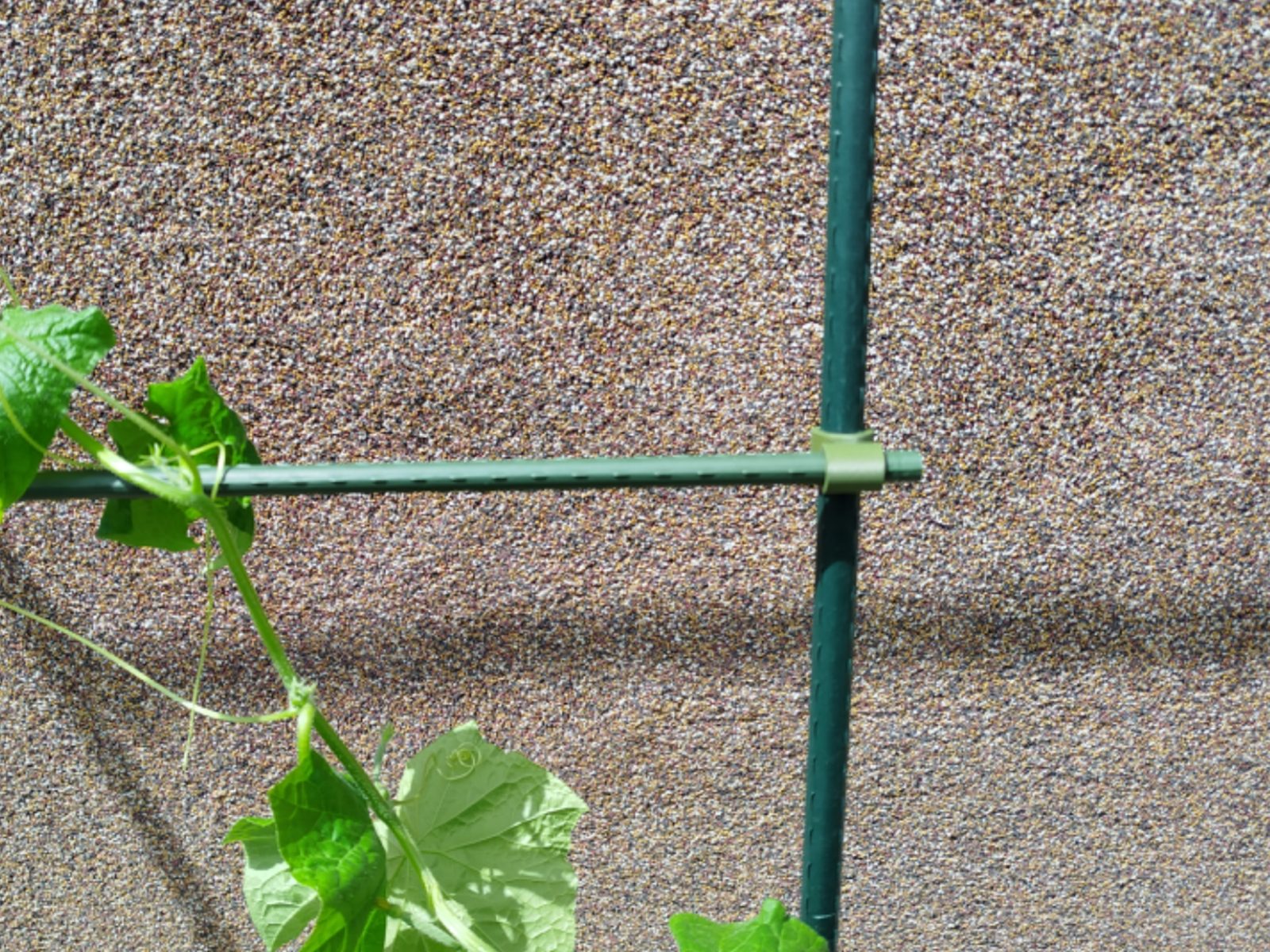 Rankhilfe Stabverbinder — vue 1