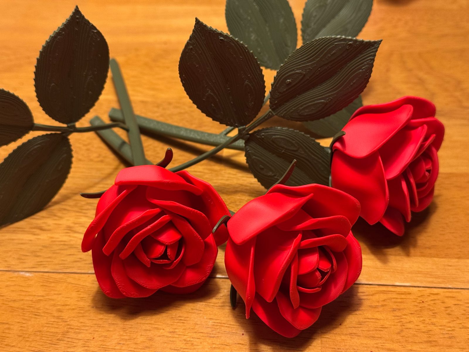 roses with 5 types of stem ( no support ) — vue 1