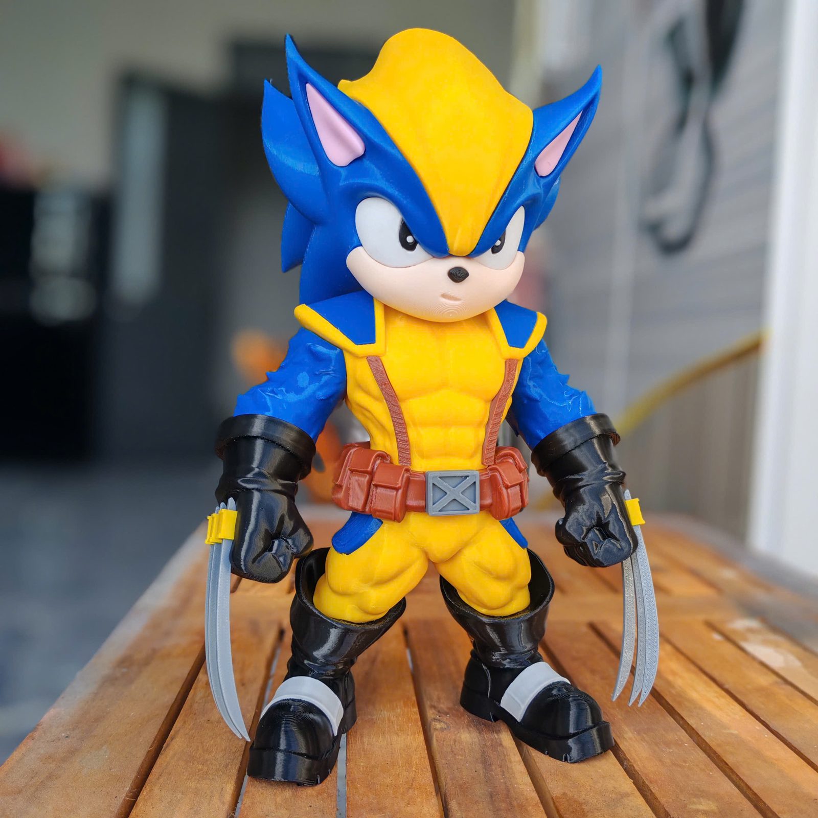 Sonic Wolverine — vue 5