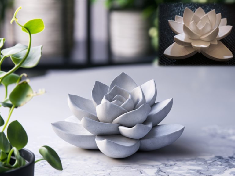 Stone Succulent — vue 1