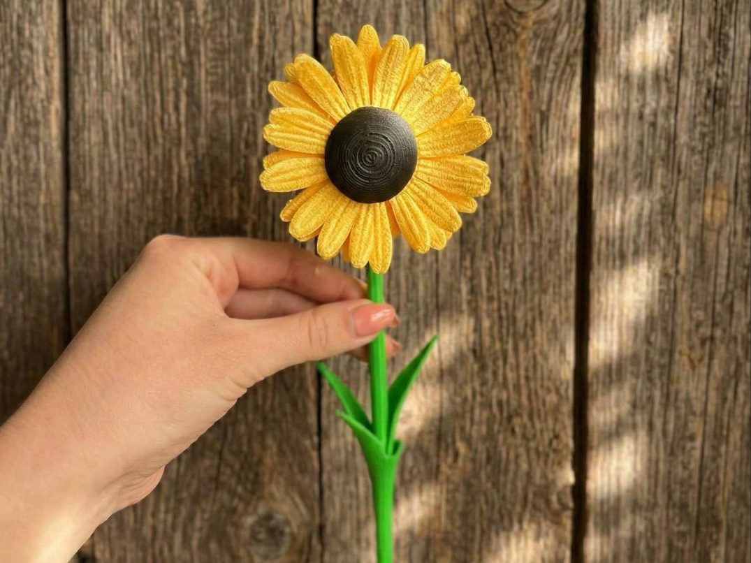 Sunflower — vue 1