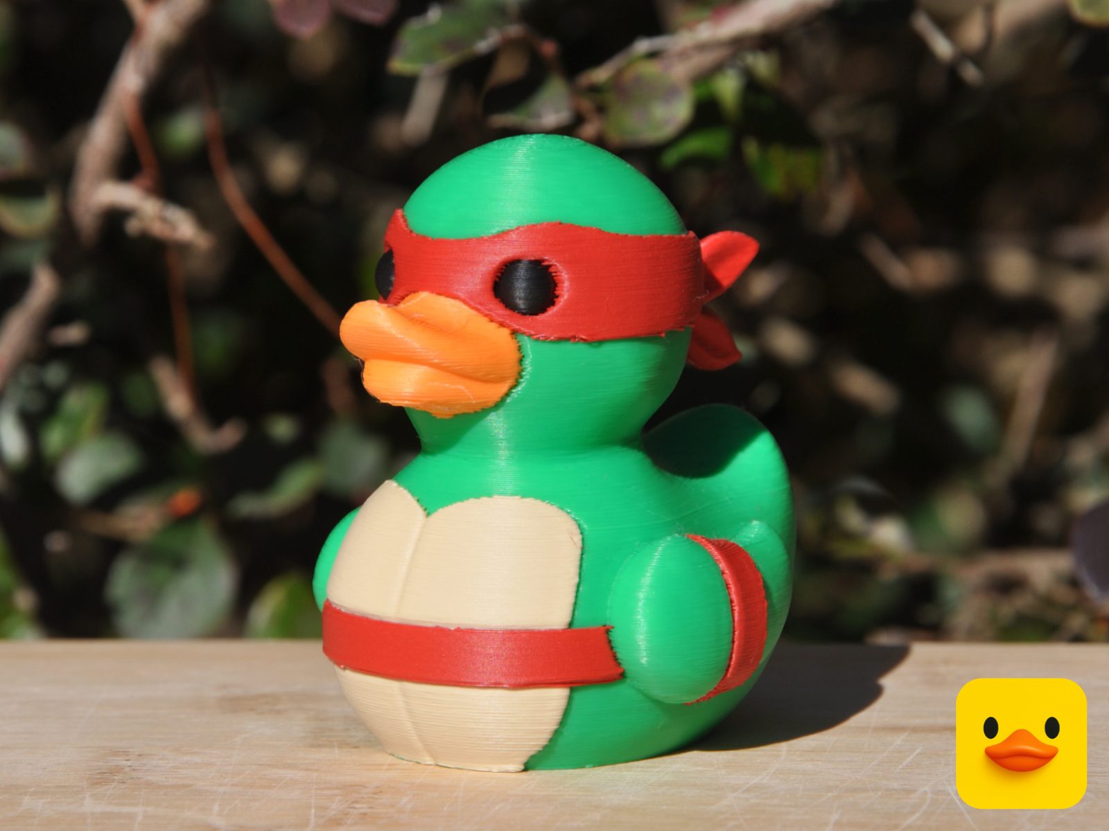 Teenage Mutant Ninja Turtle Duck — vue 1