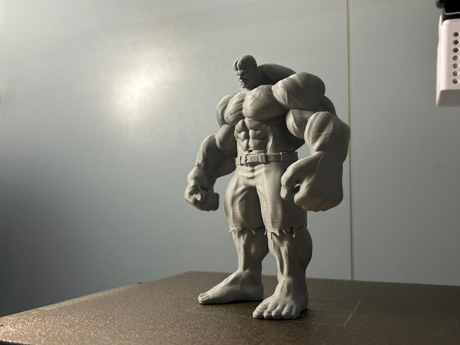 The Incredible Hulk Action Figure — vue 1
