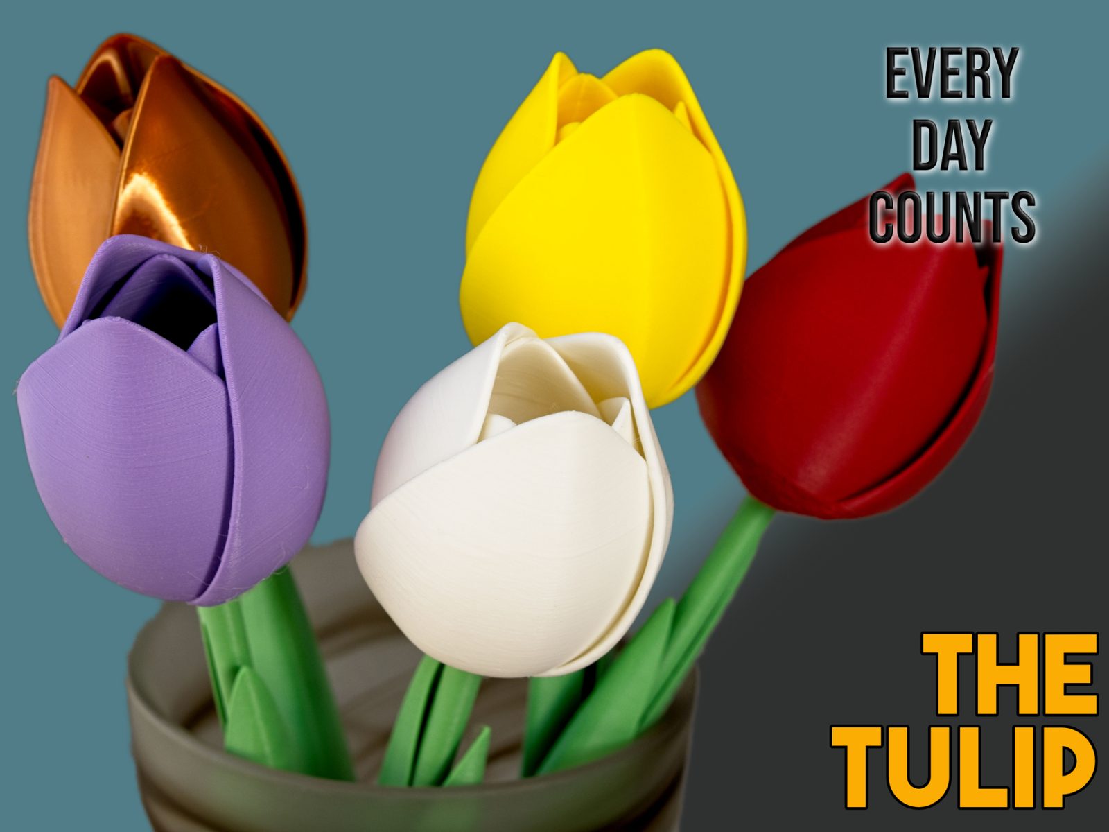The Tulip — vue 1