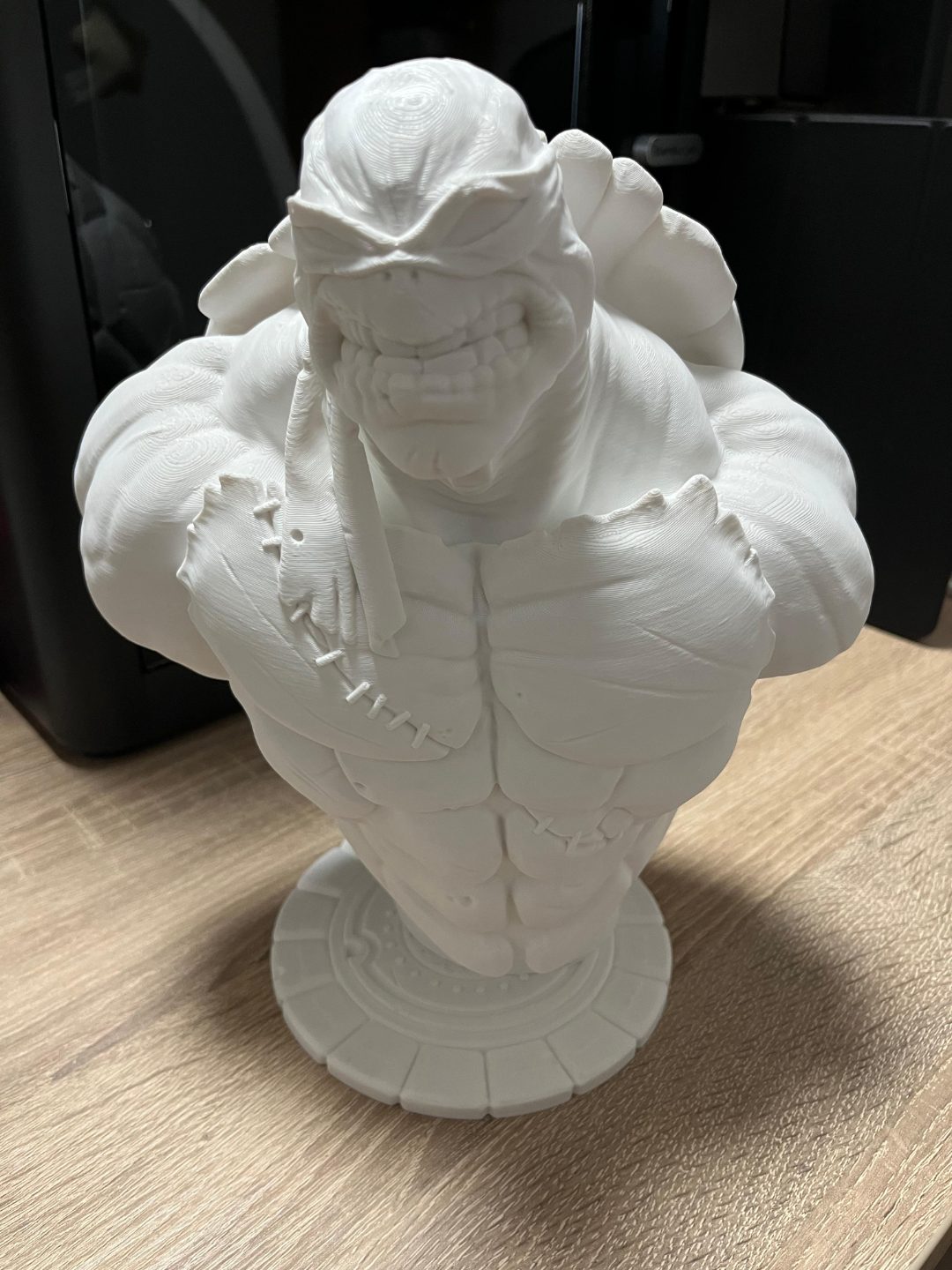 TMNT bust (fan art) — vue 1