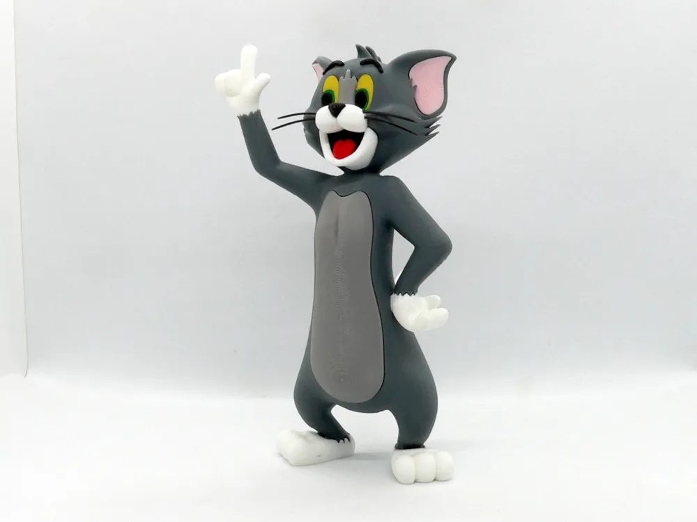 Tom Cat 2 — vue 1