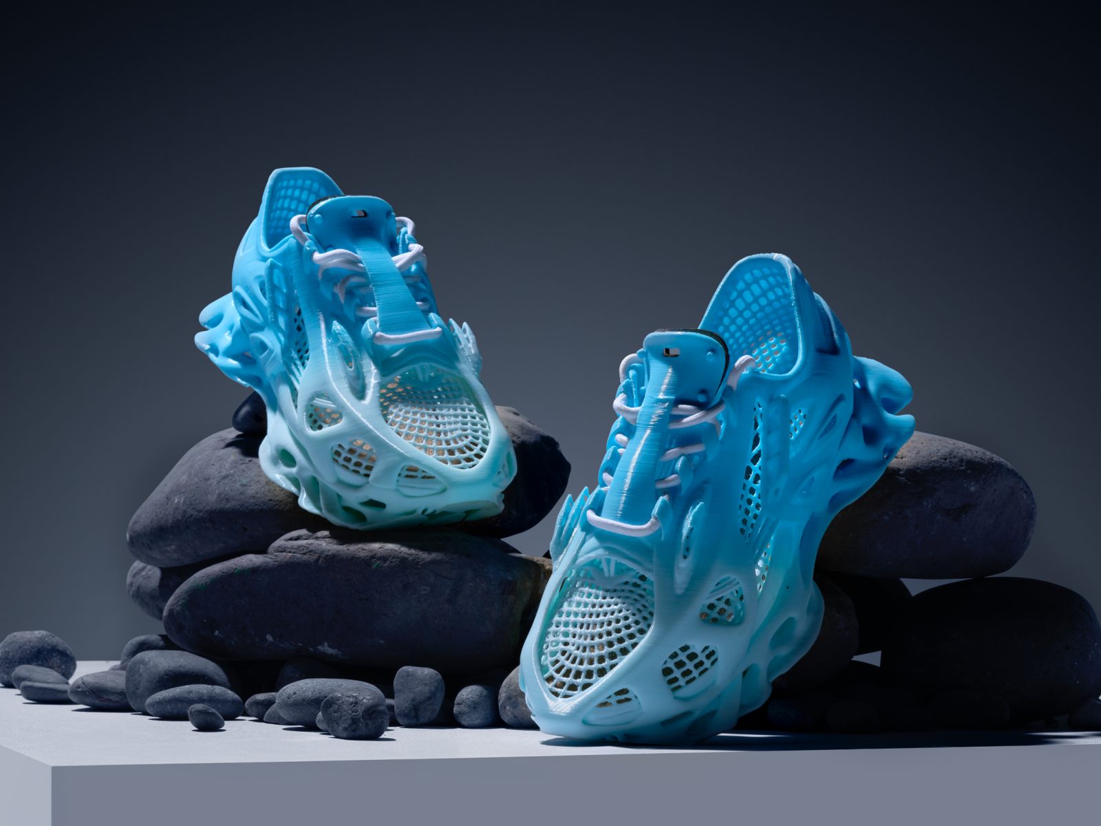 Whaleberry - a 3D printed thick-soled casual shoe — vue 1