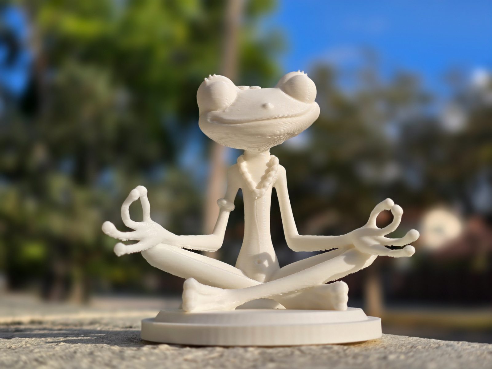 Zen Frog: Guardian of Serenity — vue 1